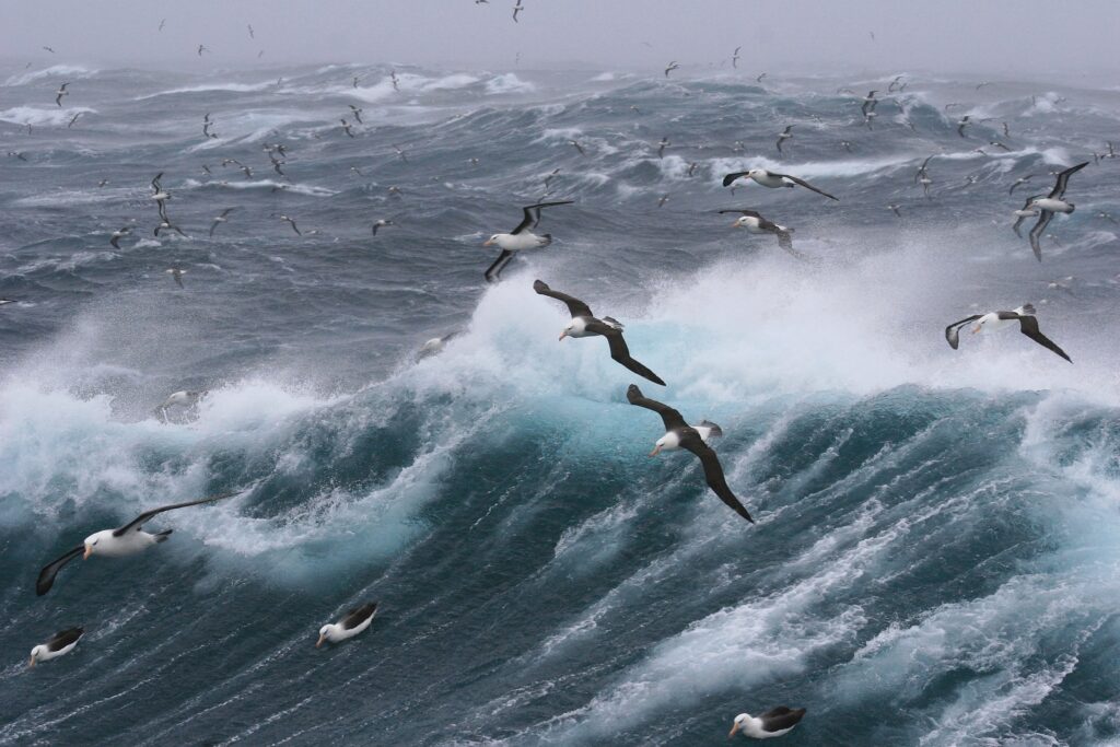 sailing in bad weather