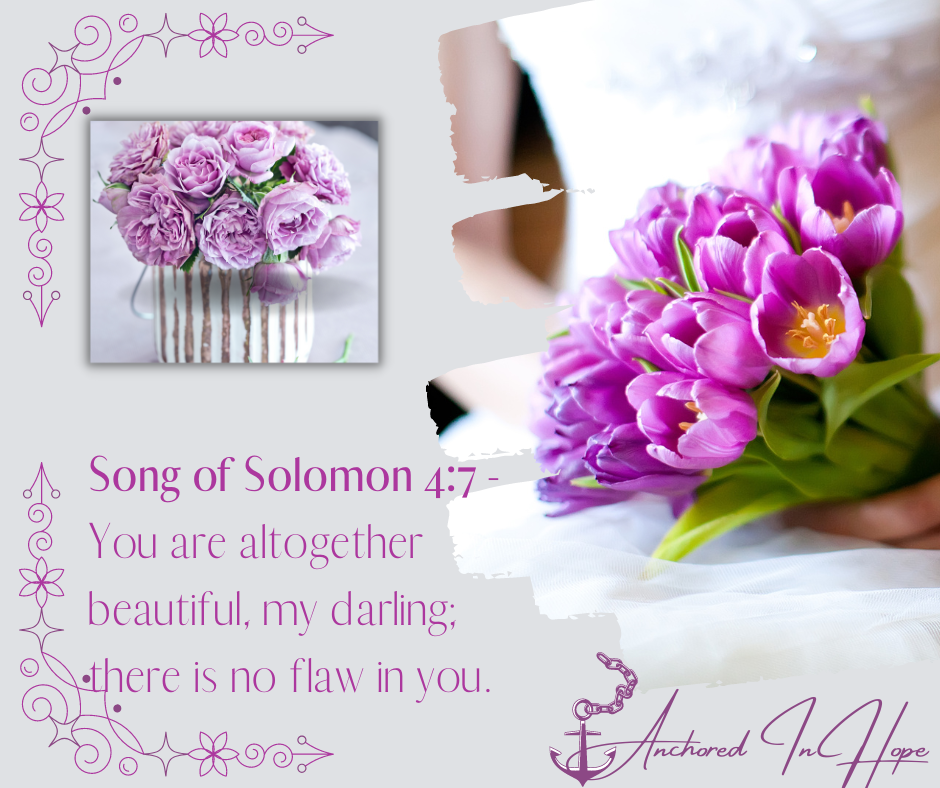 Song of Solomon 47 You are altogether beautiful my darling there is no flaw in you.