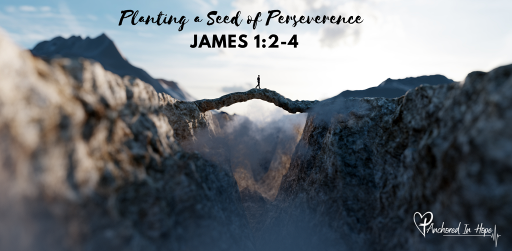 Paint Plant a seed James 1.2 to 4