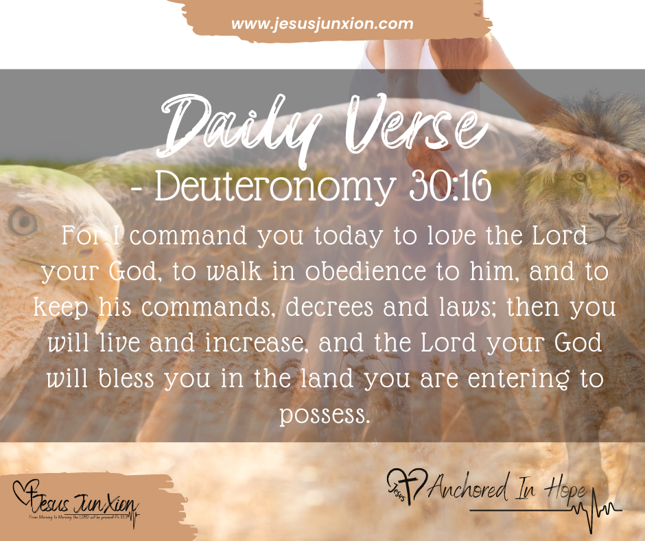 Daily Verse: Deuteronomy 30:16