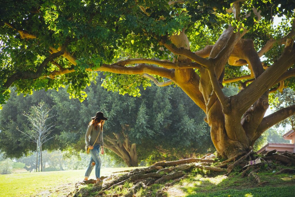 woman walking under tree during daytime