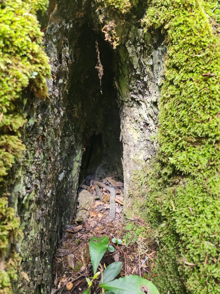 IMG 20250410 WA0033
