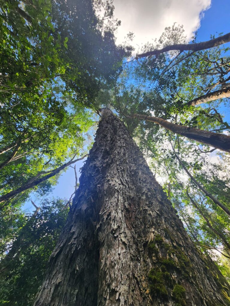 IMG 20250410 WA0034